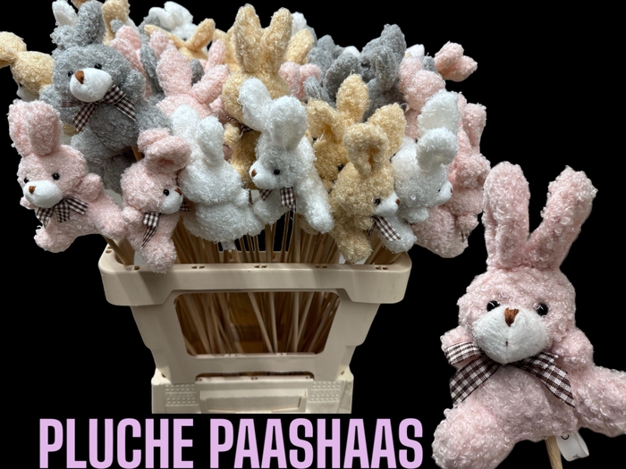 <h4>HUIS EN TUINDECO H%</h4>