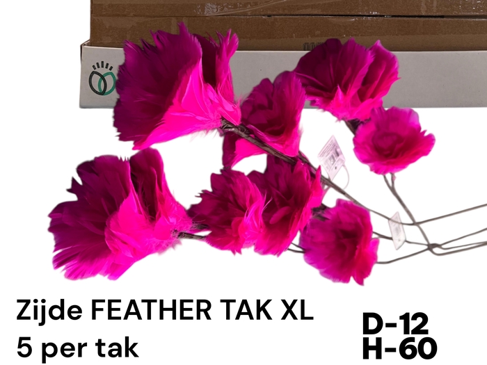 <h4>HUIS EN TUINDECO H%</h4>