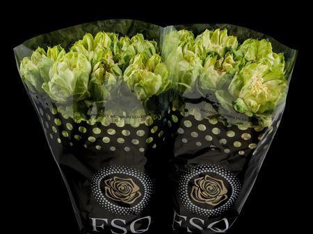 <h4>R Gr Veggie</h4>