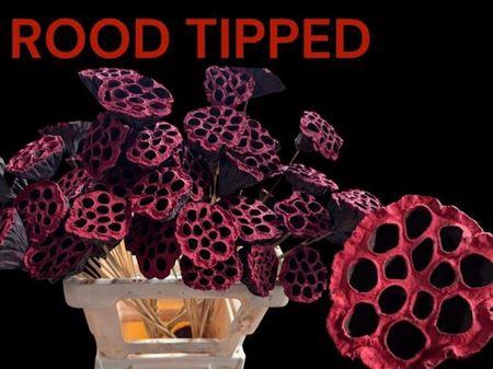 <h4>Huis En Tuindeco H%</h4>