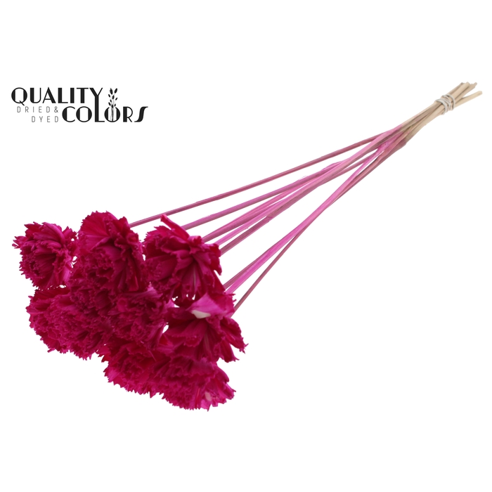<h4>Shola Karnish Flower 6cm on stem Lilac</h4>
