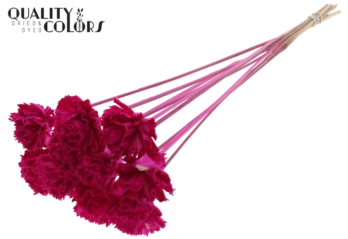 Shola Karnish Flower 6cm on stem Lilac