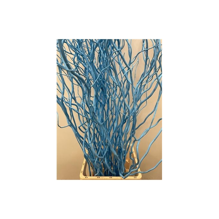 <h4>Salix 130cm Light Blu</h4>