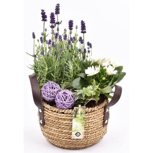 Touwmand met leer handv.20-22cm