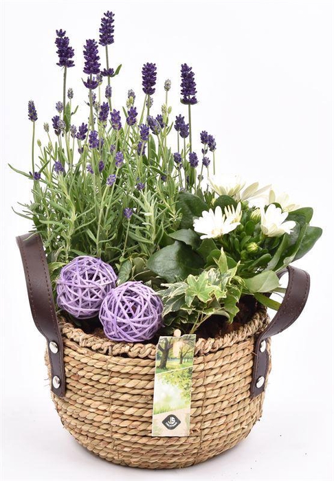 <h4>Touwmand met leer handv.20-22cm</h4>