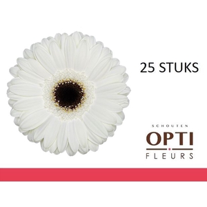 GE GR WHITE HOUSE-Doosx25