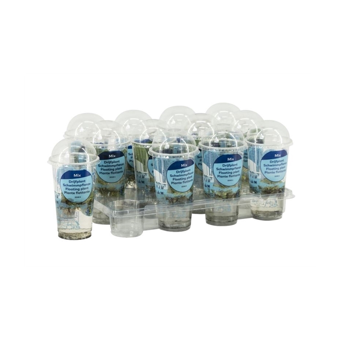 <h4>Drijfplanten mix in beker small</h4>