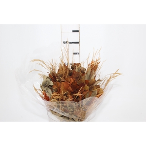 PLANTA SECA BUQUE VARIADO MULTICOLORIDO 50CM