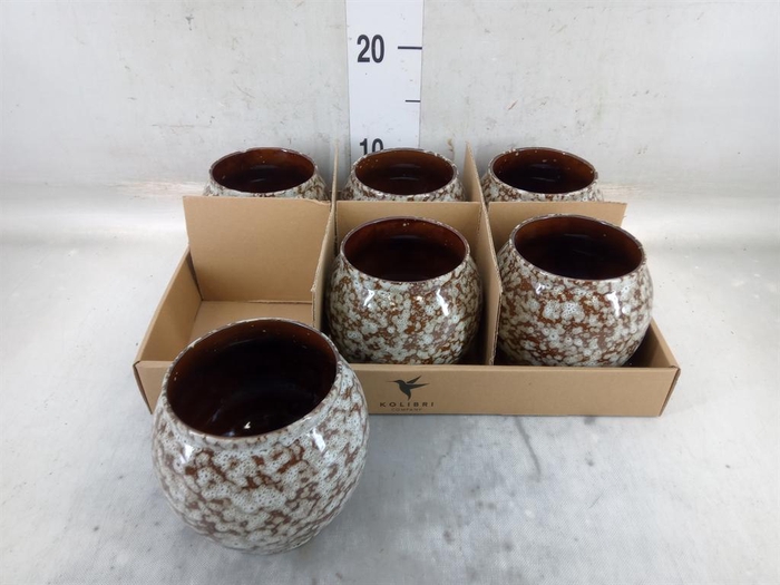 <h4>Pot   ...Keramische H%</h4>