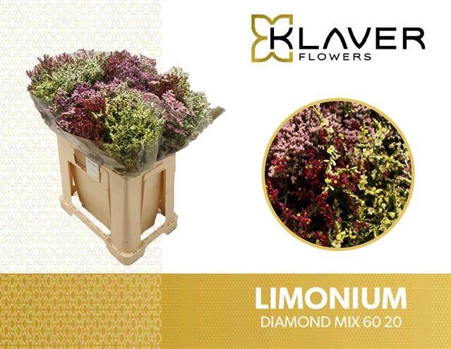 <h4>LIM SIN DIAMOND GEM</h4>