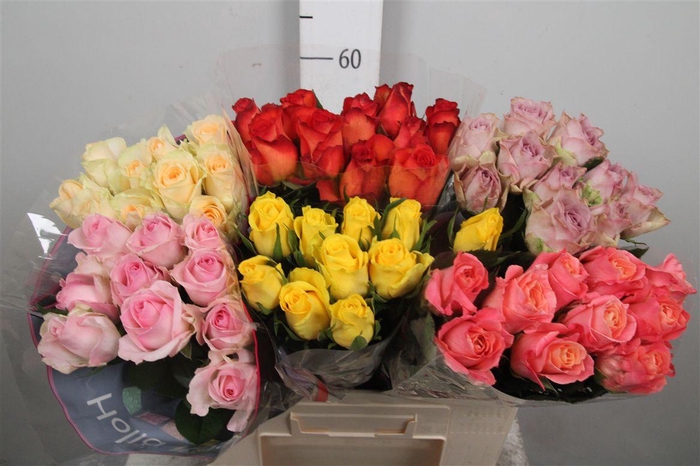 <h4>R Gr Gemengd In Fust</h4>