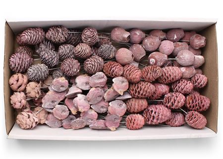 Lcd Assorti Frosted Erica On 10cm Wire