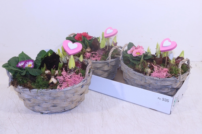 <h4>ARR TUINPLANTEN</h4>