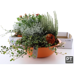 ARR TUINPLANTEN
