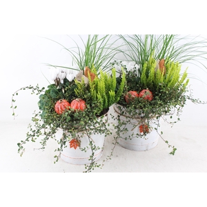 arr4 Outdoor VL - Zink autumn Pot L 250/2