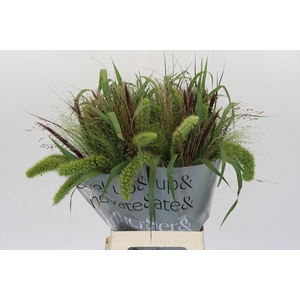 Grasses mix in bucket