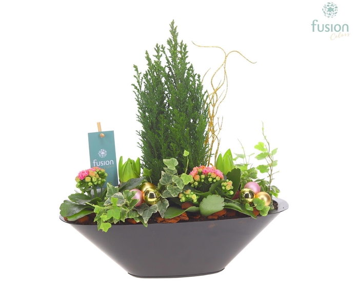 <h4>Schaal Zink antraciet Kerst met Arrangement</h4>