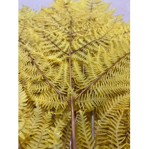 GESTABILISEERD VAREN LICHTGEEL