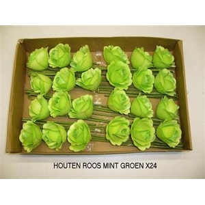 HOUTEN ROOS MINTGROE