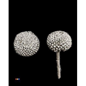 Craspedia Klb Metallic Black