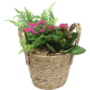 4749 HOOG GEVL MANDJE