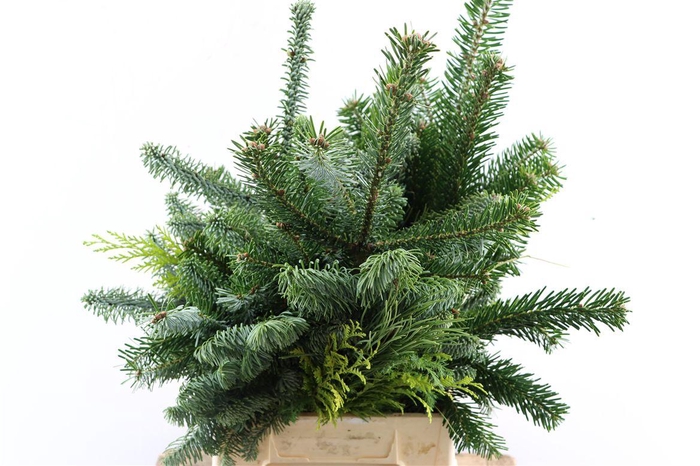 <h4>Nobilis Handbos Mix</h4>