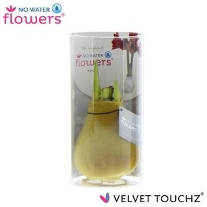 No Water Flowers Velvet Touchz® Gold in koker