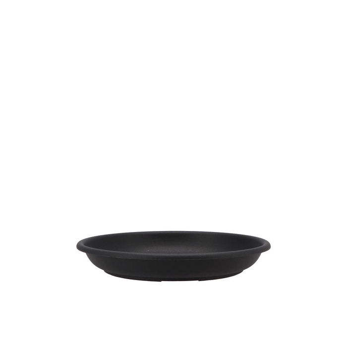 <h4>Floristry Plate 22cm P/10 Black</h4>