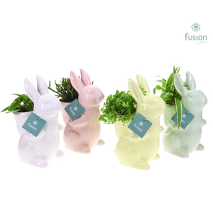 Pasen Haas keramiek 4 kleuren met groene planten