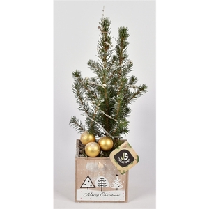 Hout vierk. kerstdecor met LED verl. 11x11cm