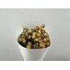 Dried Roses Spray Yellow 100gr Bunch