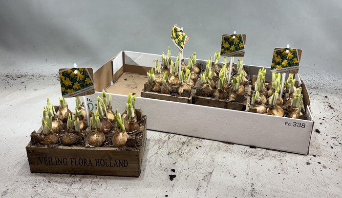 <h4>ARR N TETE A TETE</h4>