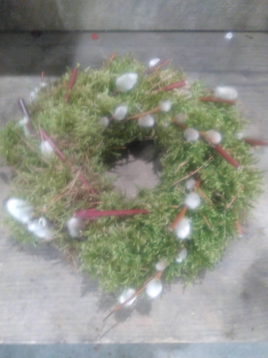 <h4>KRANZ 20 MOOS-CORNUS-KÄTZCHEN 15CM</h4>