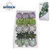 Echeveria Autumn Mix (wincx) Cutfl (5 Spcs) Wincx-10cm