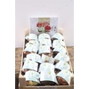 Bolbloem Hipp White Extra