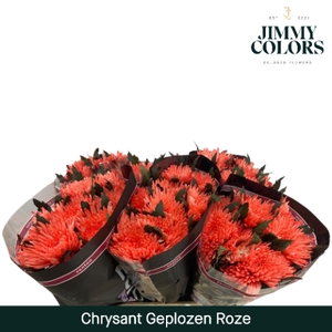 Chr G Topspin Klbh. Roze