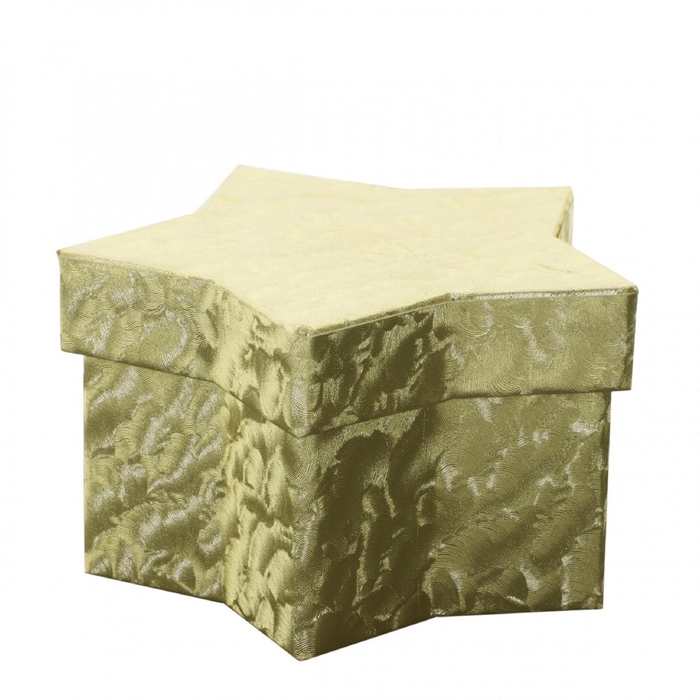 <h4>Kerst Hatbox Evelyn 20.5*13*12cm</h4>