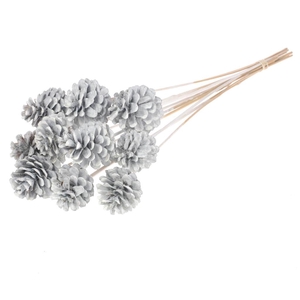 Pine Cone 5-7cm O/s 10pc White Misty