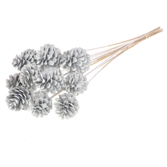 <h4>Pine Cone 5-7cm O/s 10pc White Misty</h4>