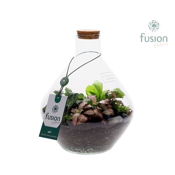 <h4>Terrarium John Small met arrangement</h4>