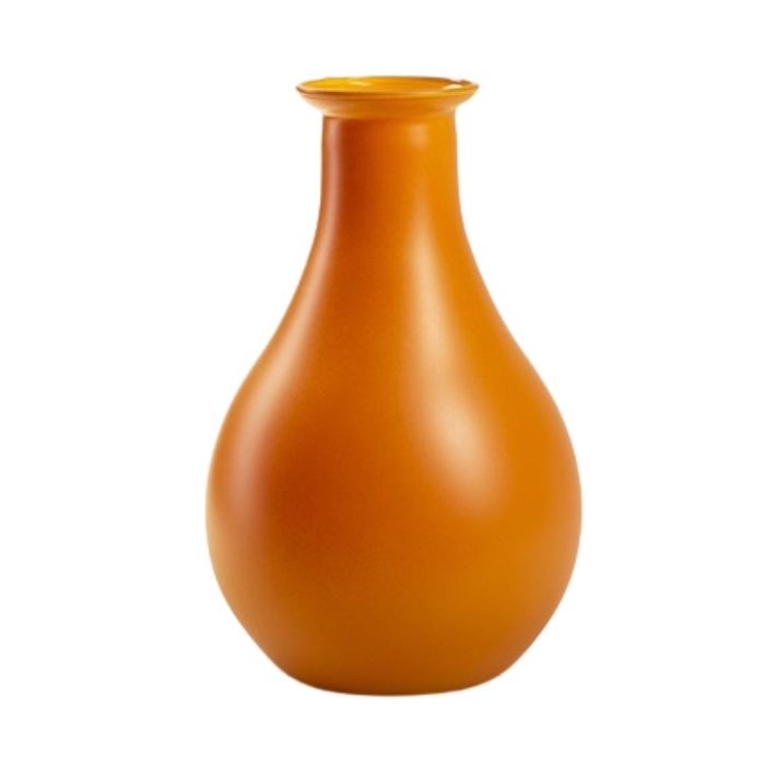<h4>Opruiming Eco flesvaas Nice d15*25cm</h4>