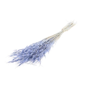 Bunch Avena Salvaje Slv 100g