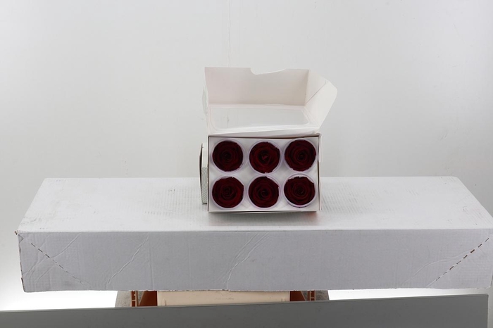 <h4>Rosa Preserved Red</h4>