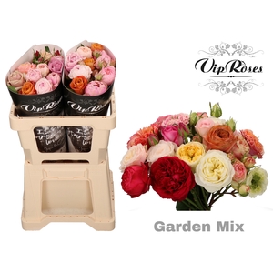 R GR GARDEN MIX