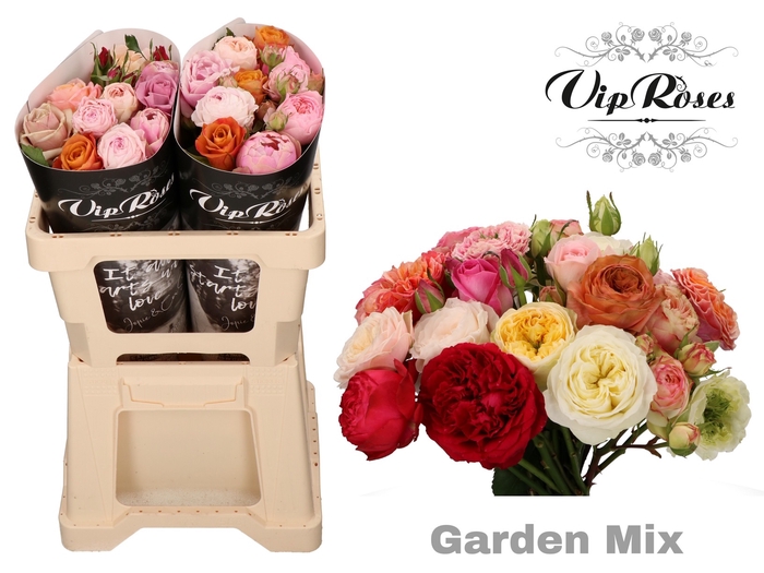 R GR GARDEN MIX