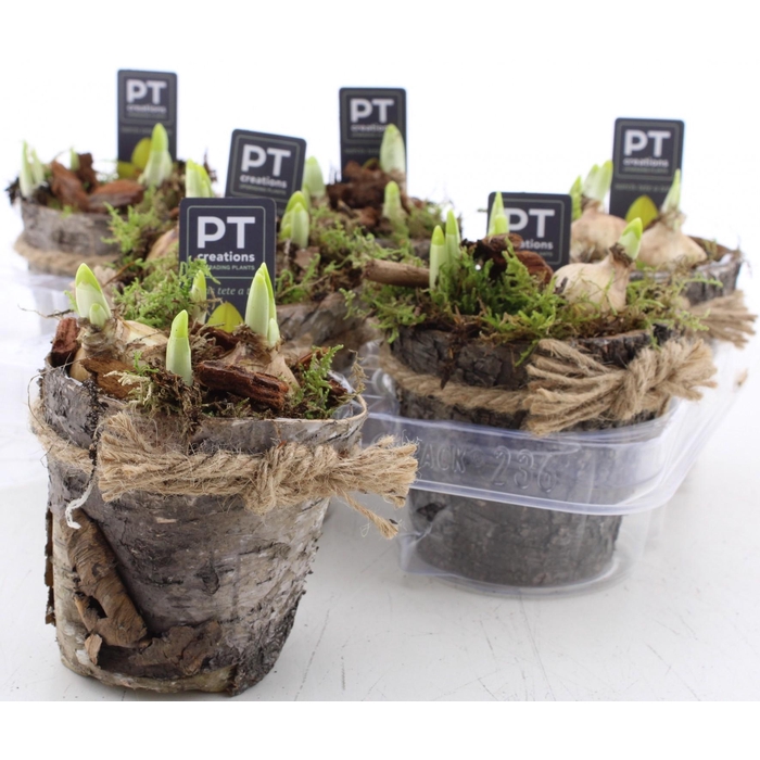 <h4>ARR N TETE A TETE</h4>