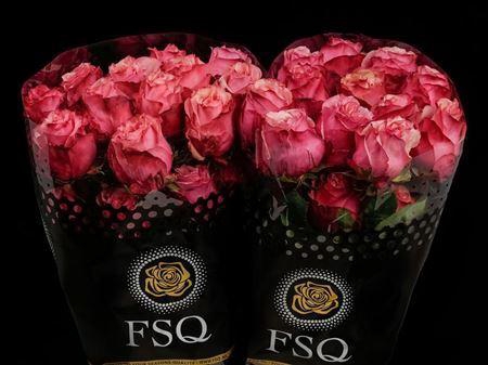 <h4>R Gr Art Rose</h4>