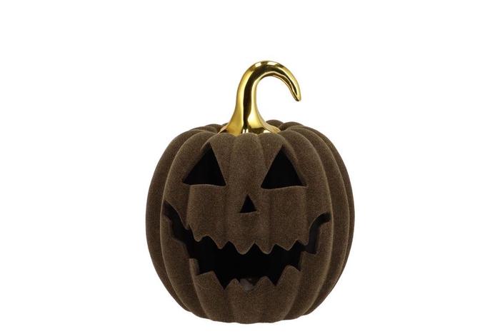 <h4>Autumn Flock Scottish Green Pumpkin Face Led 15x15x17cm Nm</h4>