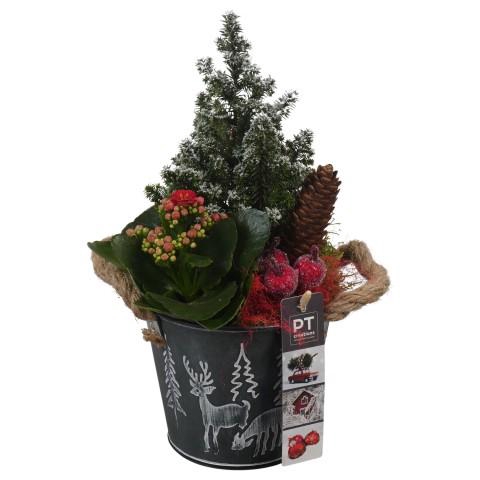 <h4>PTCHR7335 Arrangementen Kerst</h4>