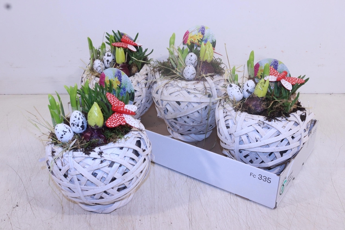 <h4>ARR BOL KNOLGEWAS</h4>